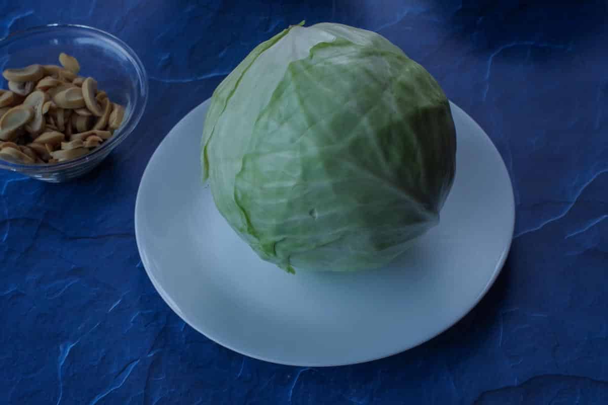 cabbage on a plate