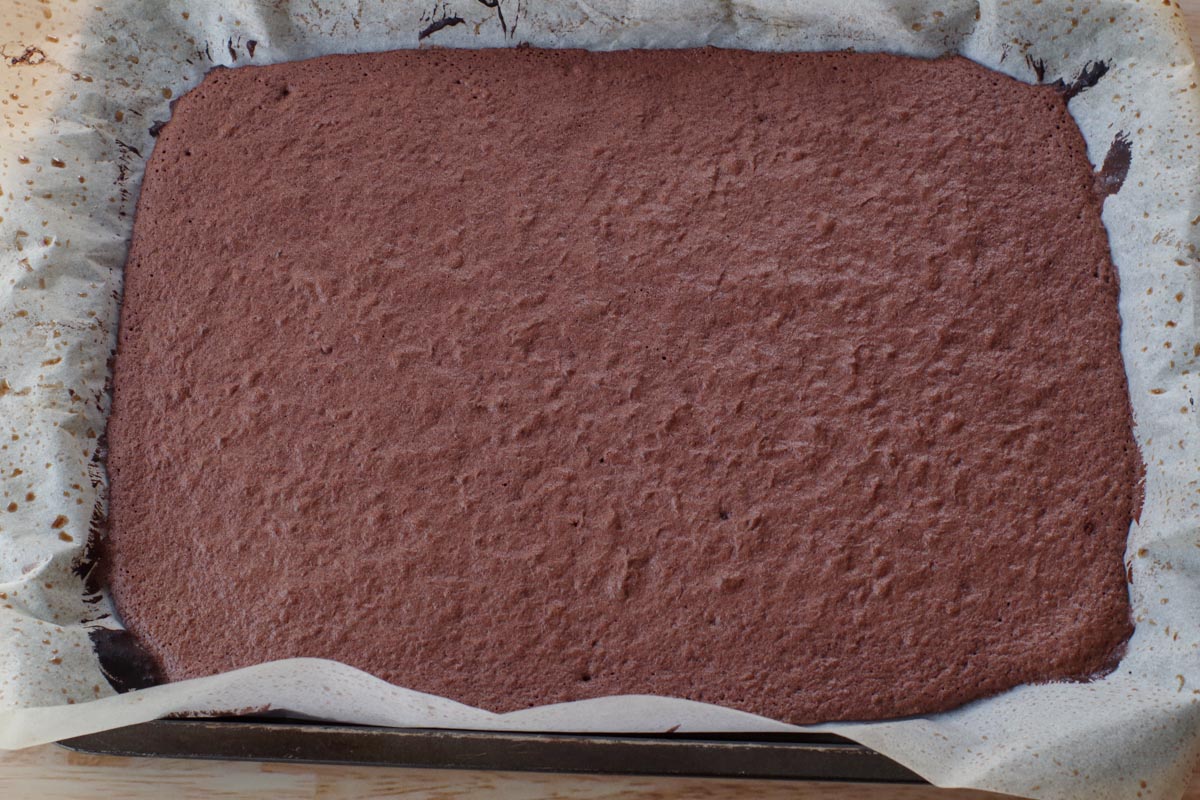 baked chocolate sponge cake on a pan