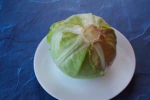 cabbage turned over, on a white plate