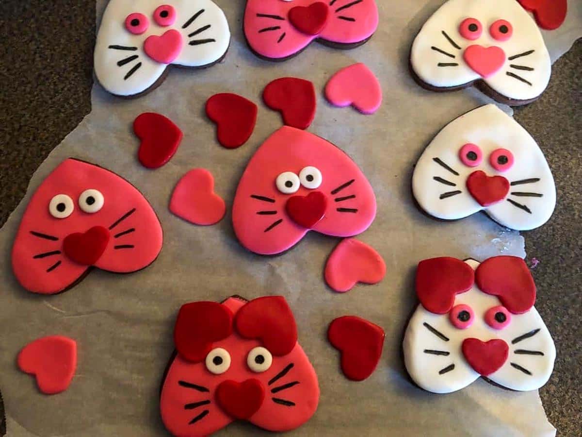 cat cookies with ears, eyes and faces drawn on