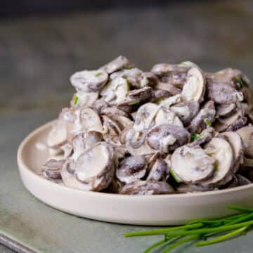 mushrooms in sour cream in a beige bowl on a concrete surface, with springs of green onion on the side of the dish