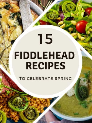 collage of 4 photos of fiddlehead recipes, with a beige and white circle with text in the middle