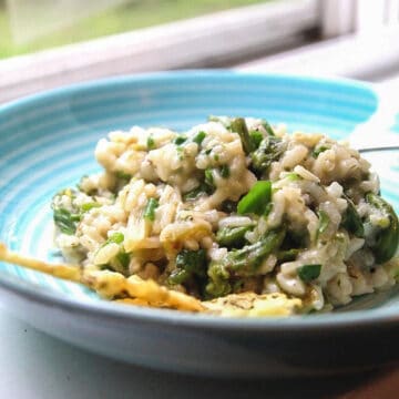 fiddlehead risotto in a blue bowl, in front of a window