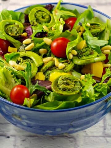 Fiddlehead spring salad in a blue bowl on white surface