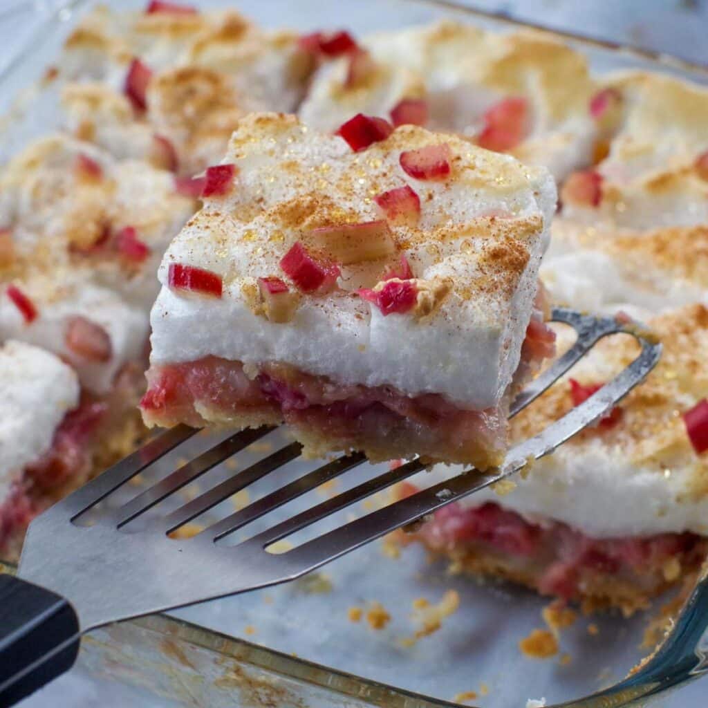 Rhubarb Meringue Torte - Food Meanderings