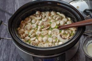 ingredients in slow cooker thai chicken soup mixed together in slow cooker