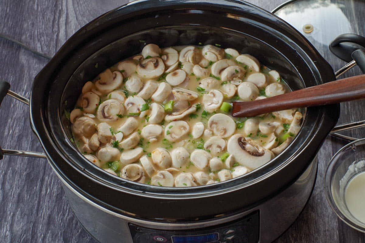 ingredients in slow cooker thai chicken soup mixed together in slow cooker