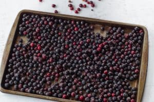 fresh Saskatoon berries on a baking sheet on white surface
