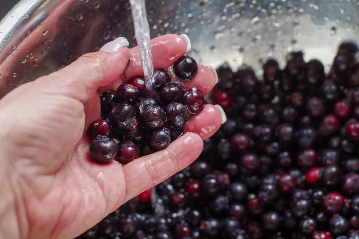 hand holding up berries being washed over colander of berries