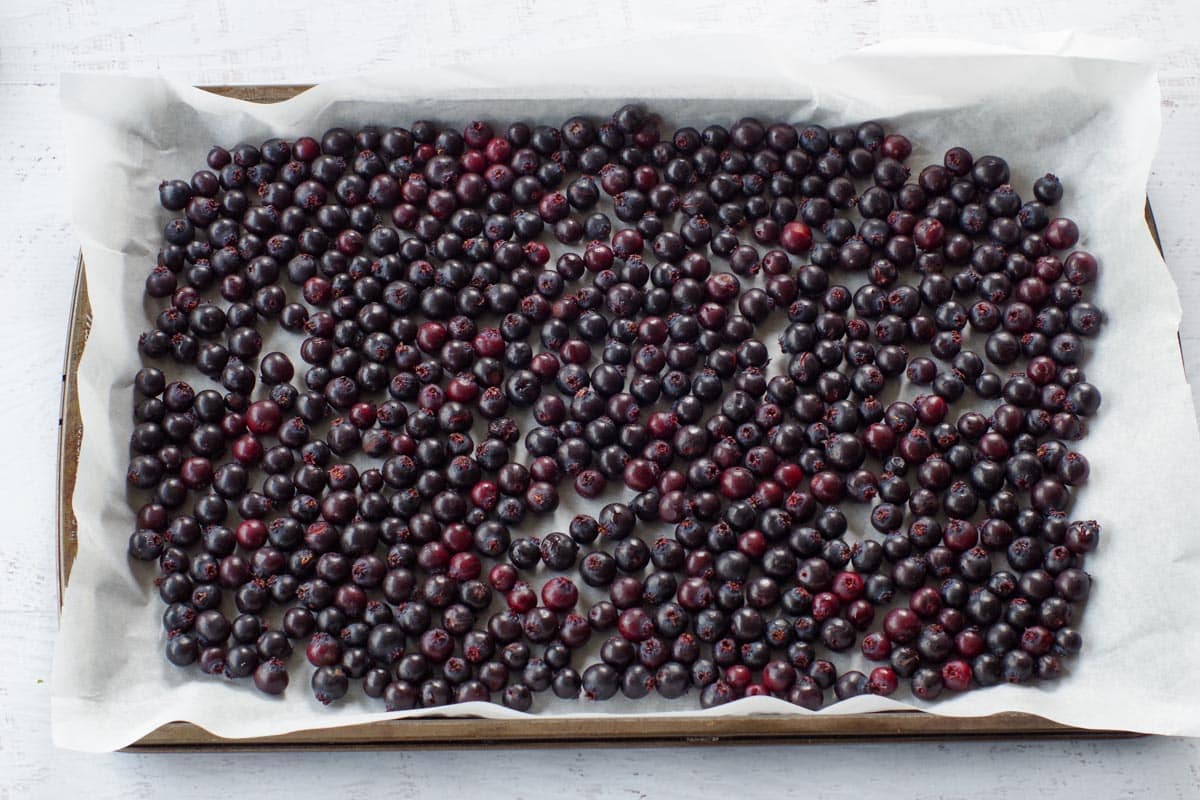Saskatoon berries on a parchment lined cookie sheet