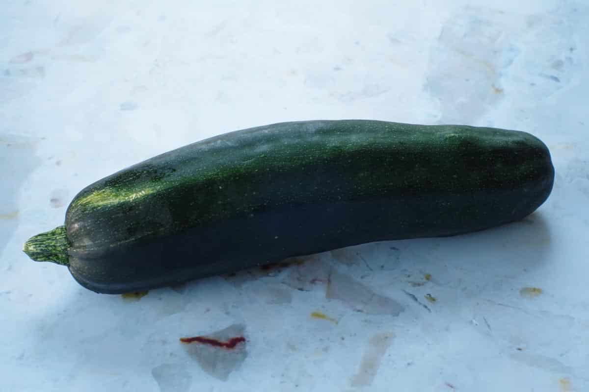 large zucchini on a counter