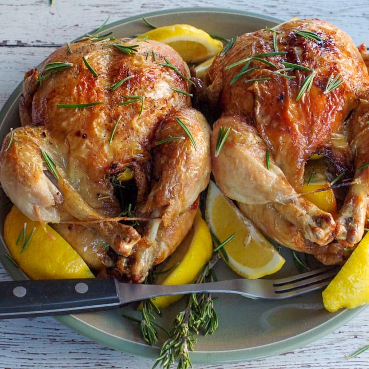Ninja Cooking System: Lemon Chicken with Rosemary – Fennel*Twist