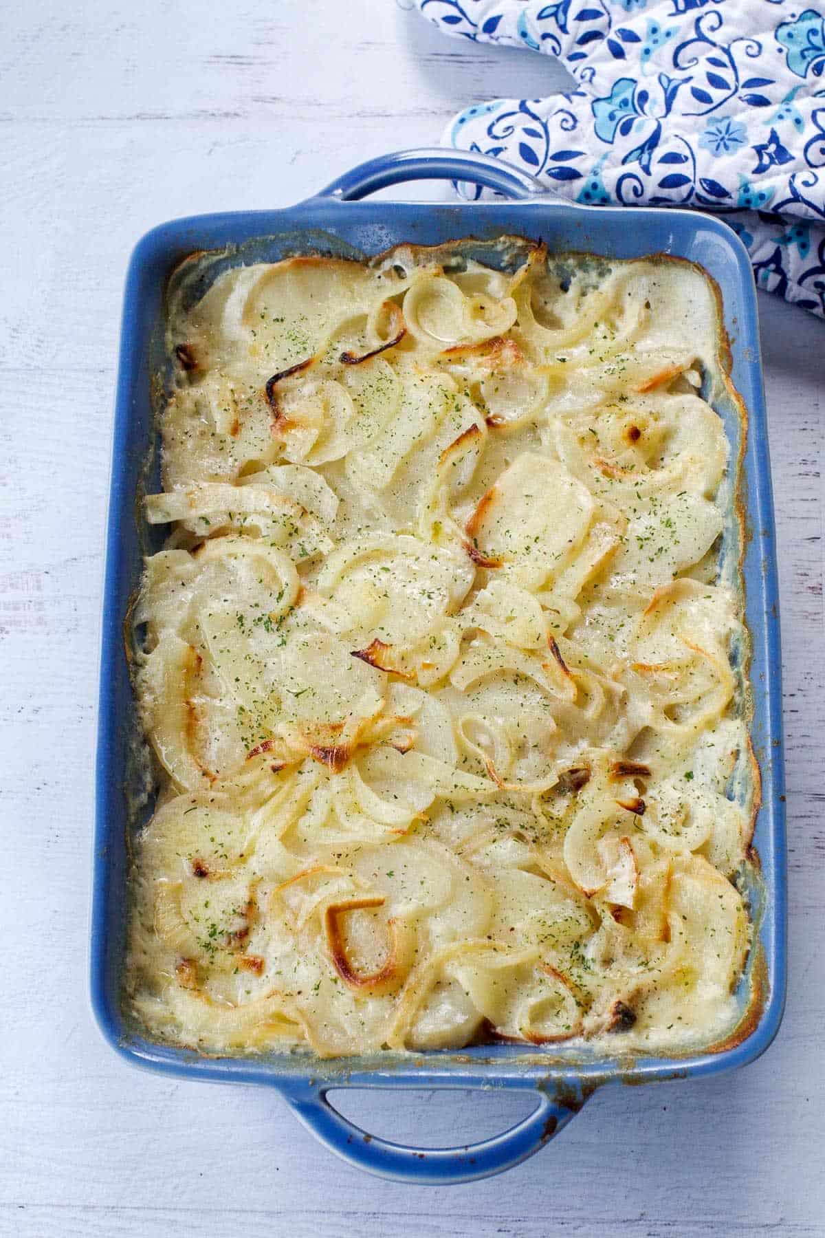 Homemade scalloped potatoes in blue casserole dish with blue patterned oven mitts