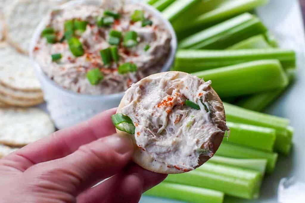 Tuna Dip recipe (with canned tuna) Food Meanderings