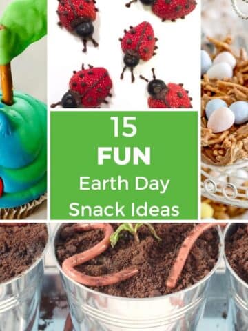 Collage of 4 photos of Earth Day snacks