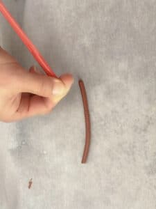 worm being pushed out of straw onto parchment paper