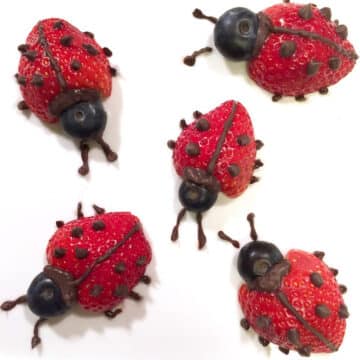 5 lady bug strawberries on a white background