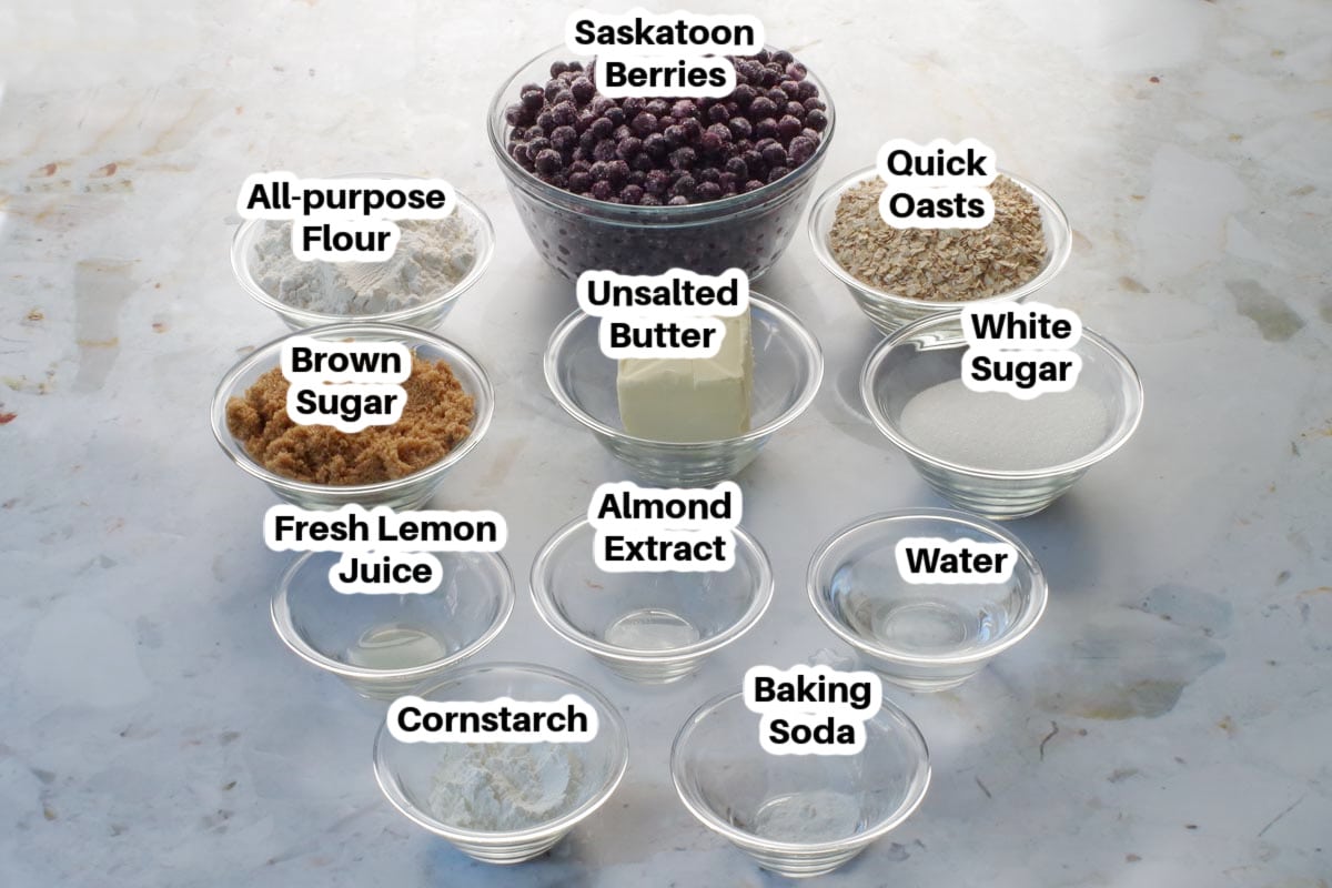 Saskatoon Berry Square ingredients in glass bowls, labelled