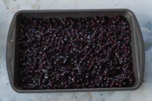 Saskatoon berry filling spread over base in 9x13 pan