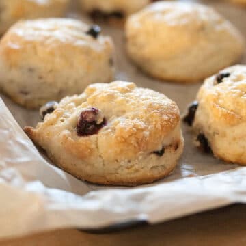 Baked Saskatoon Berry Scones on a parchment lined baking tray