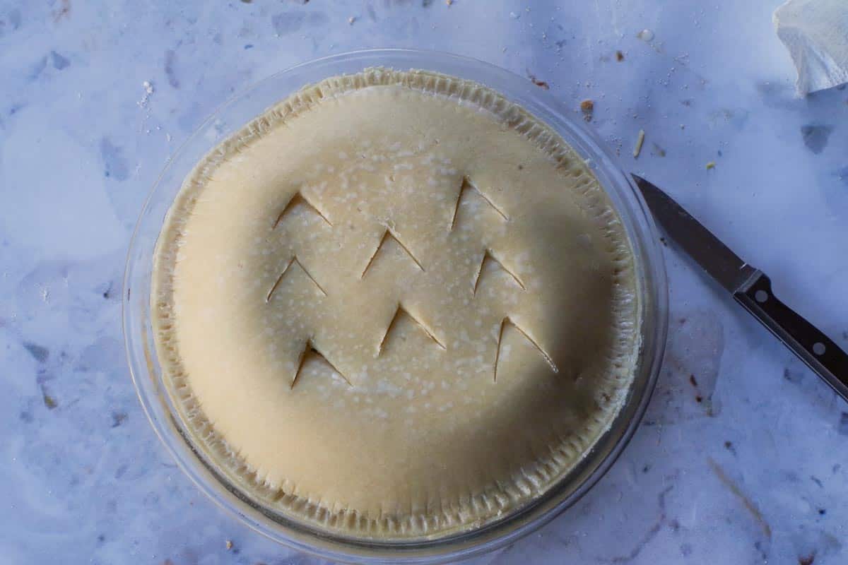 Pie with 8 steam slits (triangles) cut into the top of it.