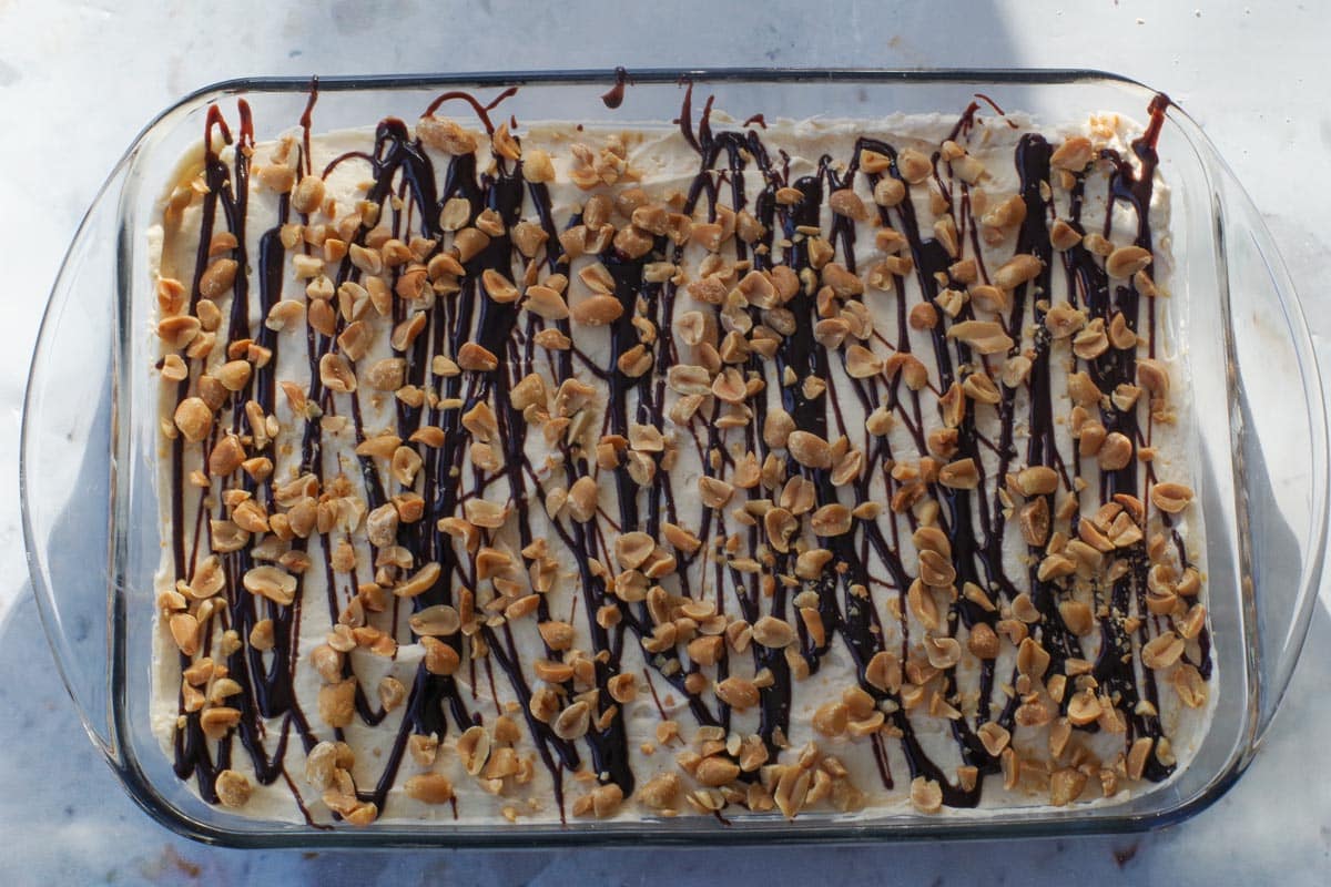 Peanuts sprinkled over the chocolate drizzled base.