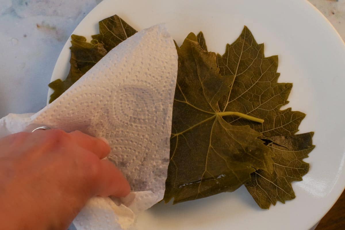 Leaves being patted dry.