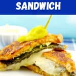 Mediterranean Sandwich is cut in 2 and stacked.