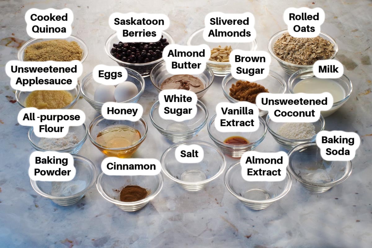 Ingredients in Healthy Saskatoon Berry Oatmeal Bars in glass bowls, labelled.