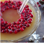 Cranberry Christmas Punch in a bowl with a cranberry orange ice ring.