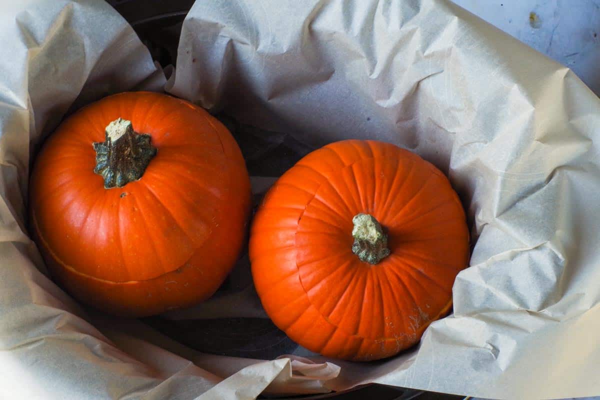 Lids placed on pumpkin in slow cooker.